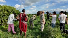 <b>圳雅文消息无限公司</b>